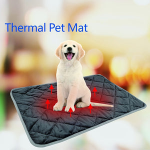 https://img.kwcdn.com/product/fancy/e4b22063-df12-490a-8586-be74e0c788a6.jpg