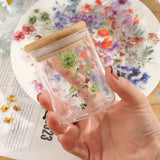 https://img.kwcdn.com/product/fancy/e753bbdc-2202-42d6-a0d9-7eba9065f333.jpg