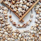 https://img.kwcdn.com/product/fancy/e7748664-3838-4671-a59d-0e5c2dc86d82.jpg