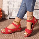 https://img.kwcdn.com/product/fancy/e91d20f7-0dae-4c93-800b-5885476dd1c6.jpg