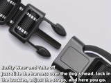 https://img.kwcdn.com/product/fancy/ec559ace-fcb5-40d8-bdb8-7c3c6754b673.jpg