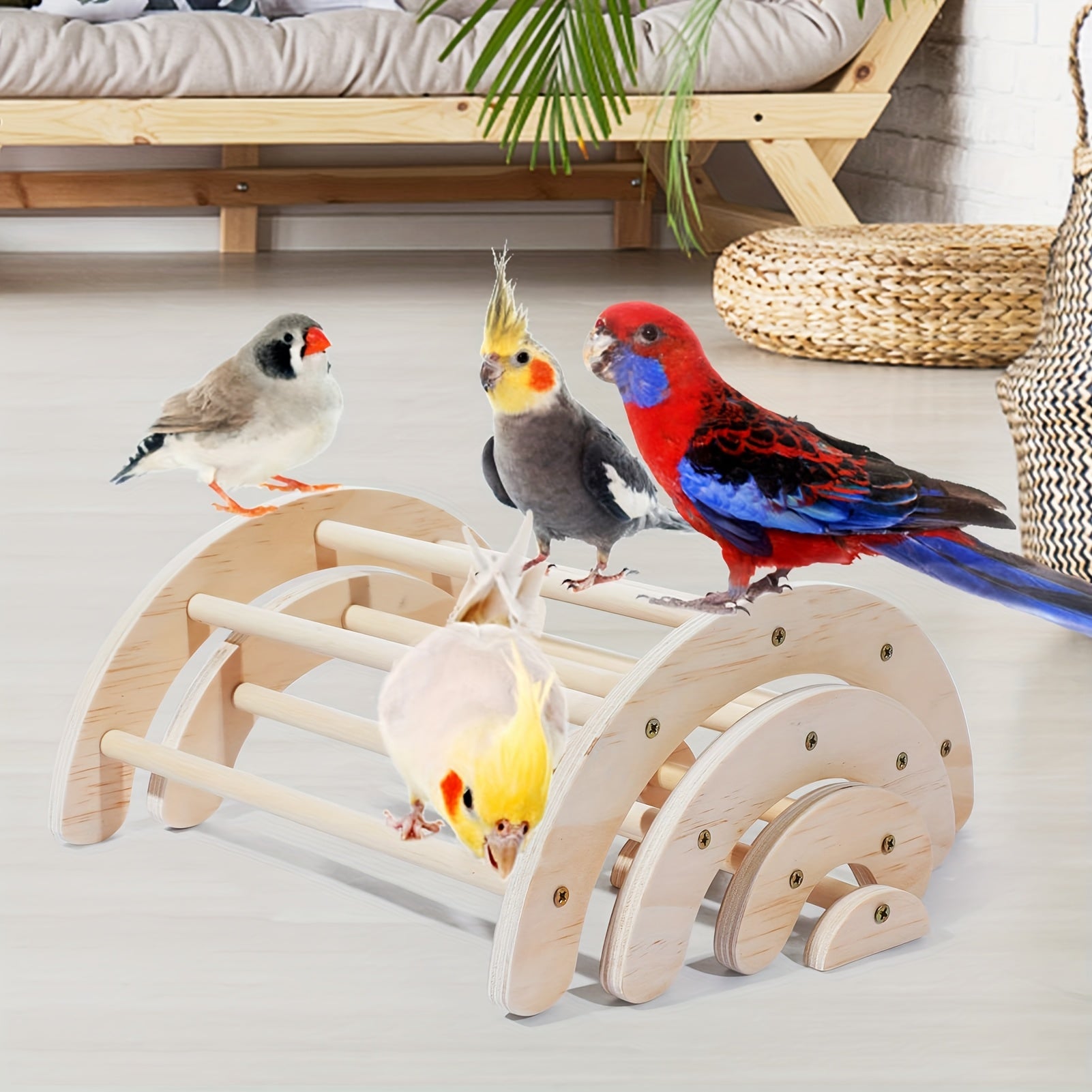 https://img.kwcdn.com/product/fancy/ed7fe0ce-60d0-408a-b767-65520b3b4fb3.jpg