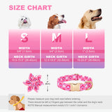 https://img.kwcdn.com/product/fancy/f00ebdb1-0759-4500-9172-4c07939001bd.jpg