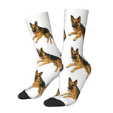 https://img.kwcdn.com/product/open/f110af2d398d4e82b855aeabee19f888-goods.jpeg
