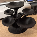 https://img.kwcdn.com/product/fancy/f3b186fd-c125-49d6-baf7-928ffa39a50e.jpg