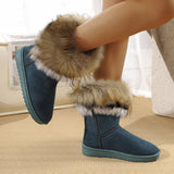 https://img.kwcdn.com/product/open/f733241393bf4df1b7be2a3563871991-goods.jpeg