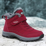 https://img.kwcdn.com/product/fancy/fd38d813-7648-431f-bf6a-ff1ff9309e26.jpg