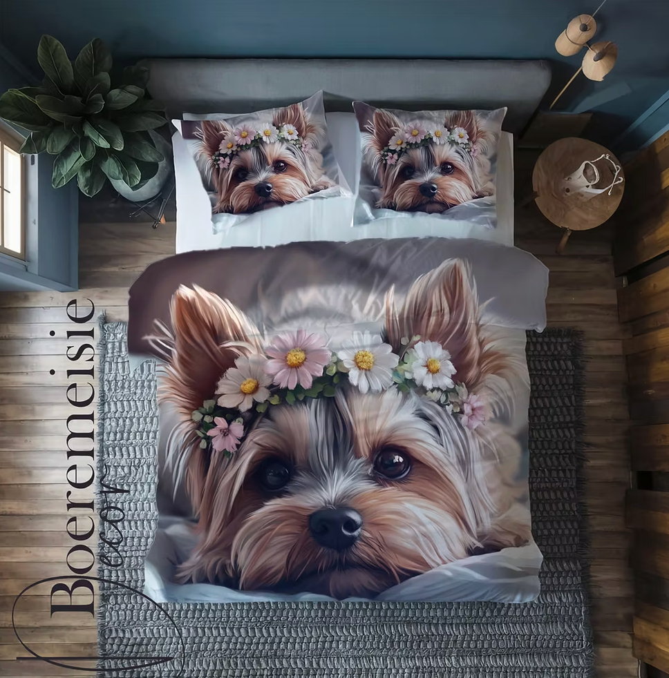 Yorkie 5